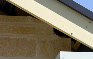 soffit repair Ingram