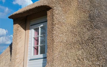 Ingram thatch roof disadvantages